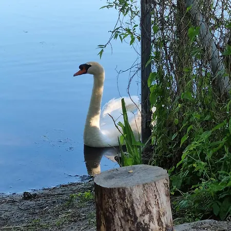Lägenhet Port Klimatyczny 1 Z Basenem, Jacuzzi, Sauna I Klimatyzacja Admus *